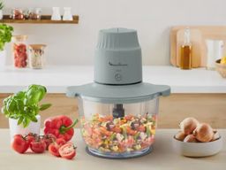 Moulinex Hachoire en inox choppeo DJ603110