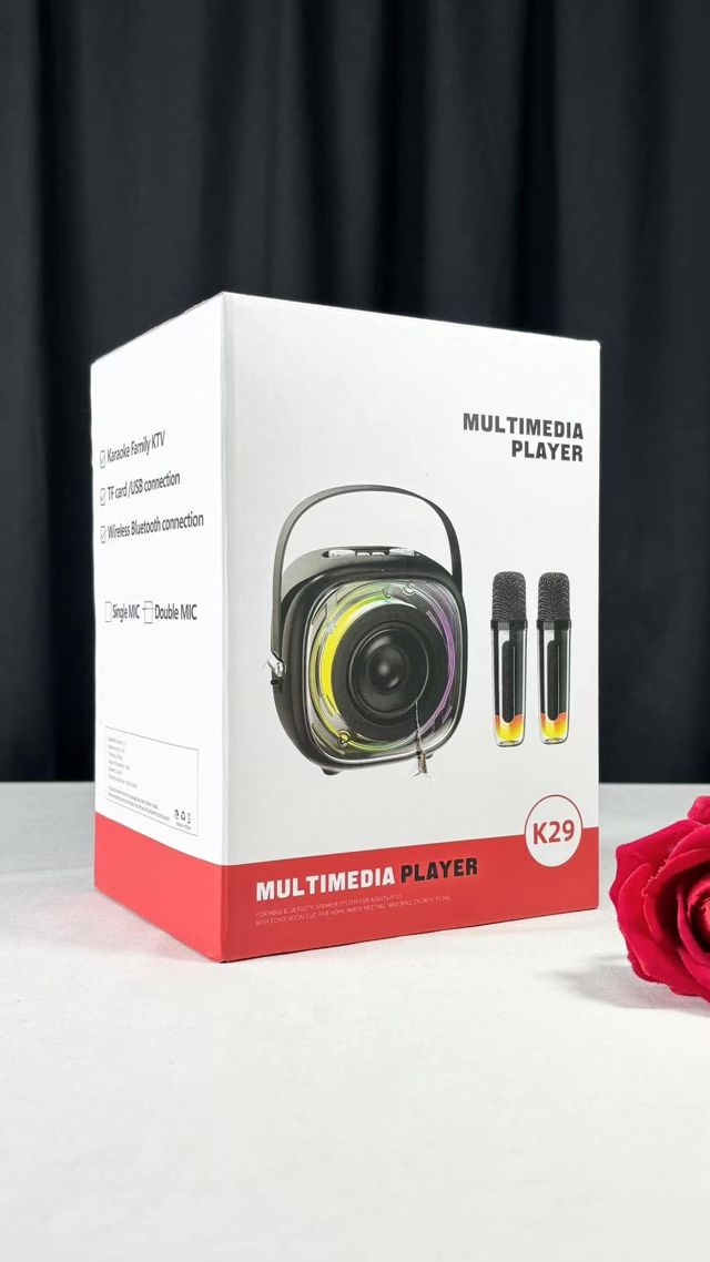 Multimedia player K29 + 2 microphones