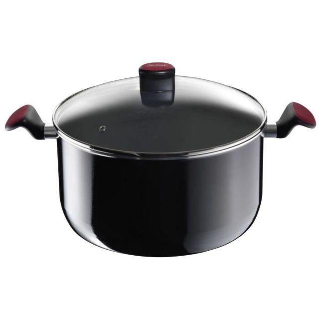 Tefal Marmite a3794622 24cm, 5 litres