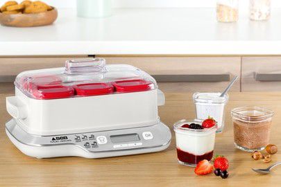 Seb yaourtié multidélices Expresse compact YG660100