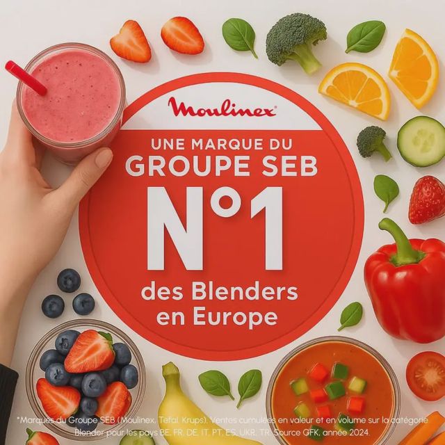 Moulinex PerfectMix+ LM81GD10 Blender 2L 1200W