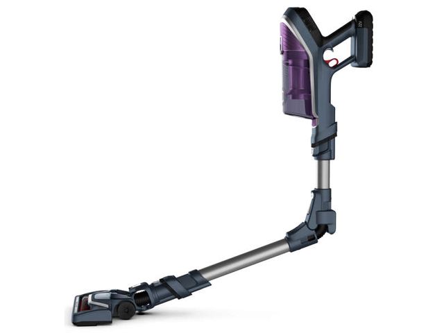 Rowenta aspirateur xforce flex 8.60 aalergie rh9638wo