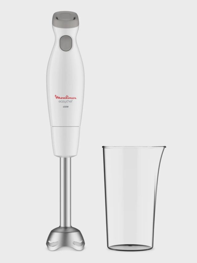 Bras bras Mixeur Moulinex easy chef inox DD451110