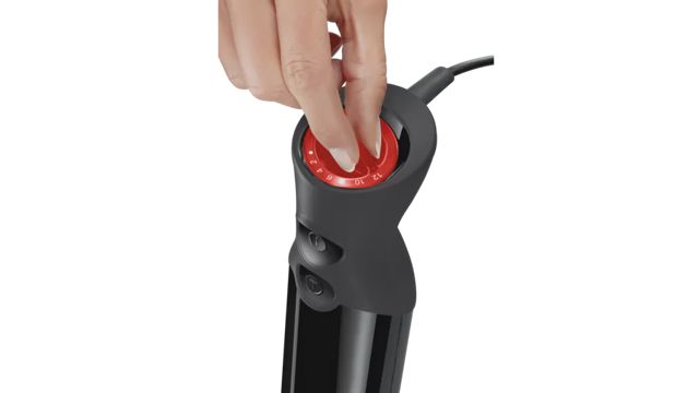 Bosch ErgoMixx Mixeur plongeant MS61B6150