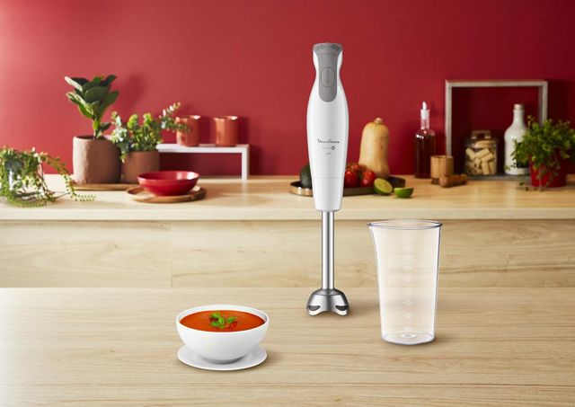 Moulinex Dailychef Mixeur 2en1 2vitesses DD552110
