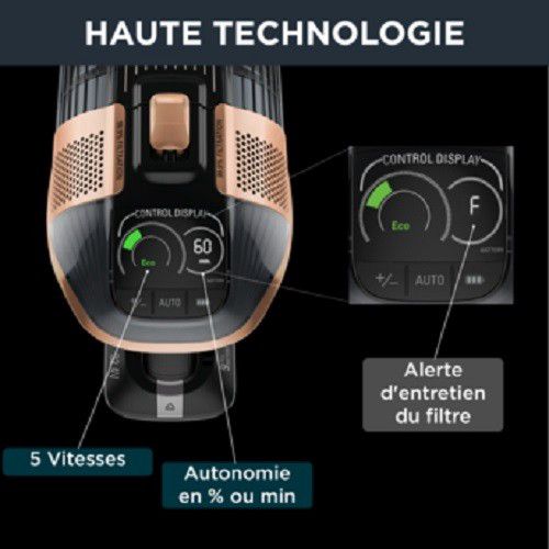 Rowenta aspirateur x-force flex 15.60 RH99F1WO