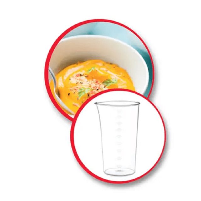 Moulinex pied mixeur easychef 450W DD451810