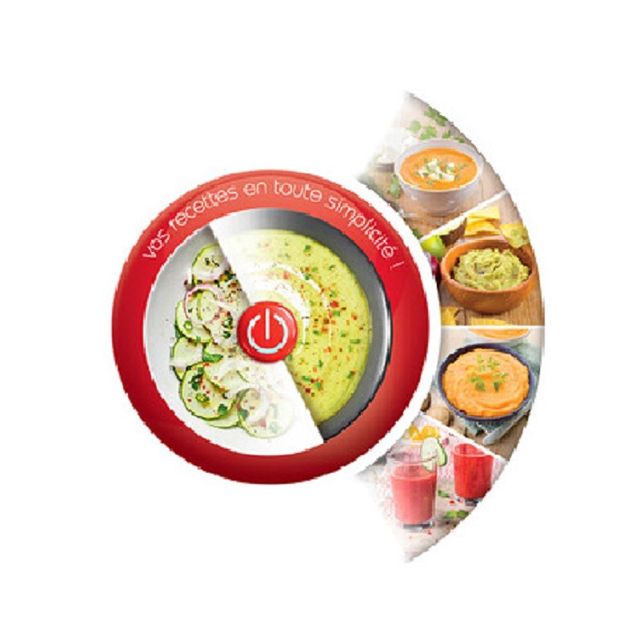 Moulinex pied mixeur easychef 450W DD451810