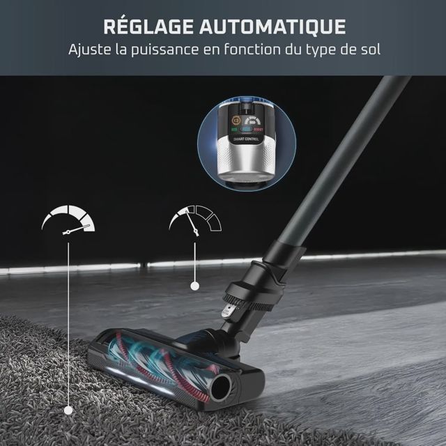 Rowenta balai x-force flex 9.60 aqua aller RH 20CO