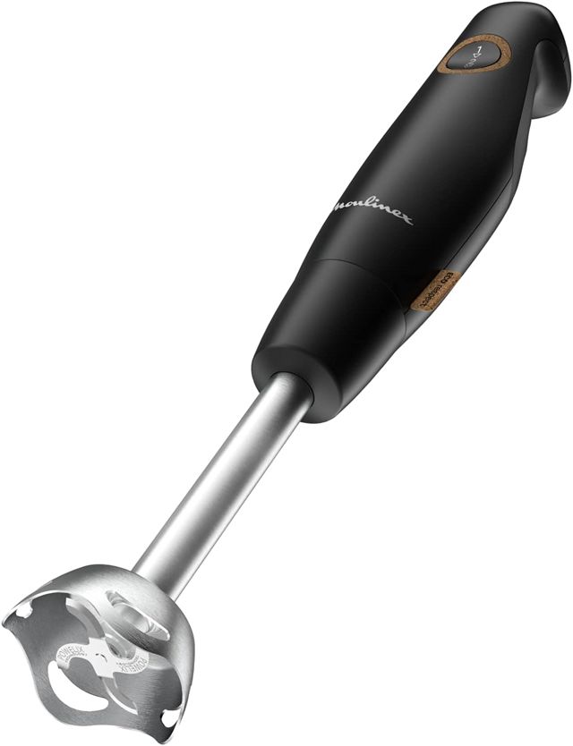 Moulinex pied mixeur 600W DD46E810