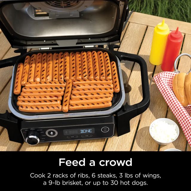 Ninja woodfire barbecue et fumoir d'extérieur OG701