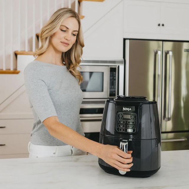 Ninja air fryer friteuse sans huile 3.8L AF100EU