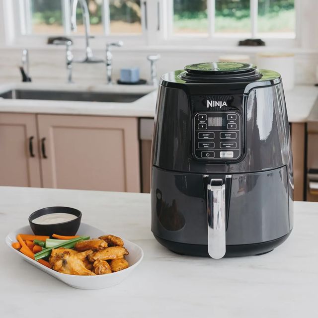 Ninja air fryer friteuse sans huile 3.8L AF100EU