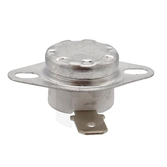 Tefal thermostat raclette FS9100023318