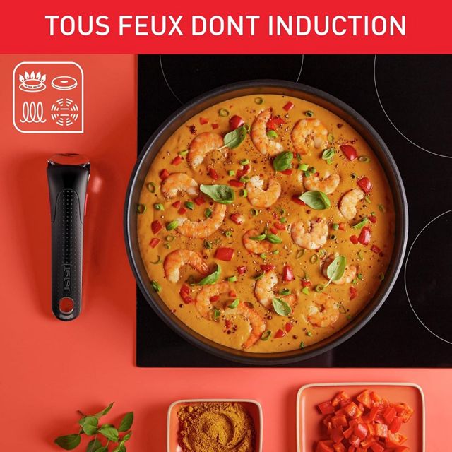 Tefal Ingenio Batterie cuisine 20 pcs L897SJ04