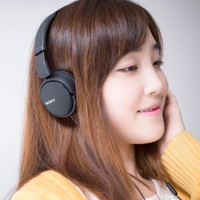 Sony casque avec fil noir MDR-ZX110AP