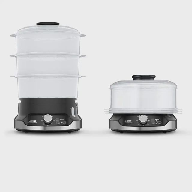 Cuiseur vapeur Seb vc204800