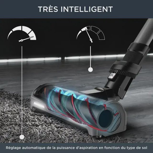 Rowenta X-Force Flex 14.60 Aqua RH99C0 Aspirateur balai 2en1