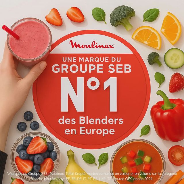 Moulinex Blender Mini mixeur compact 400 W LM17GD10