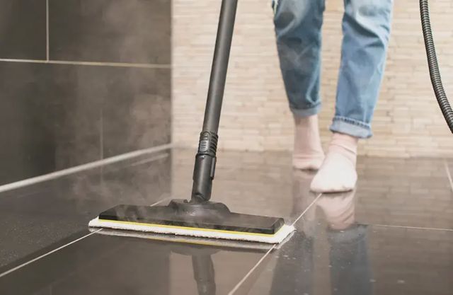 Nettoyeur vapeur Karcher sc3 easyfix