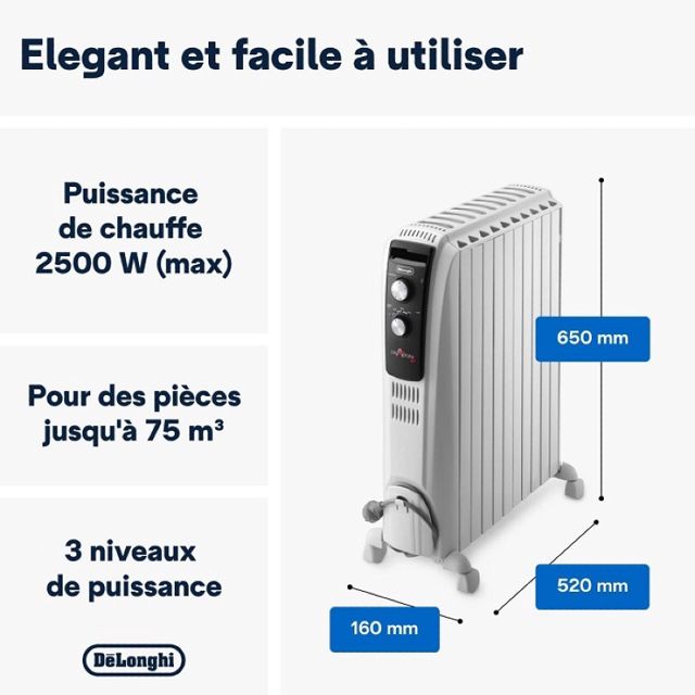 DeLonghi bain d'huile Dragon TRD04 1025