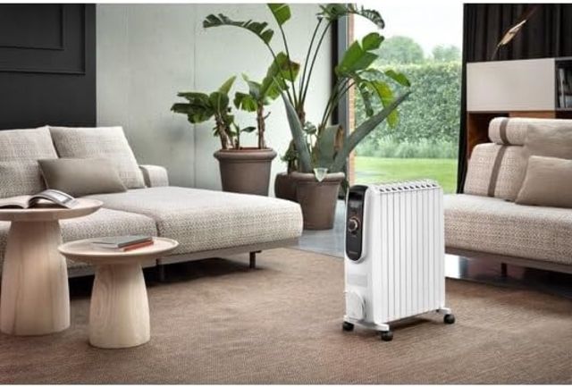 DeLonghi bain d'huile Dragon TRD04 1025