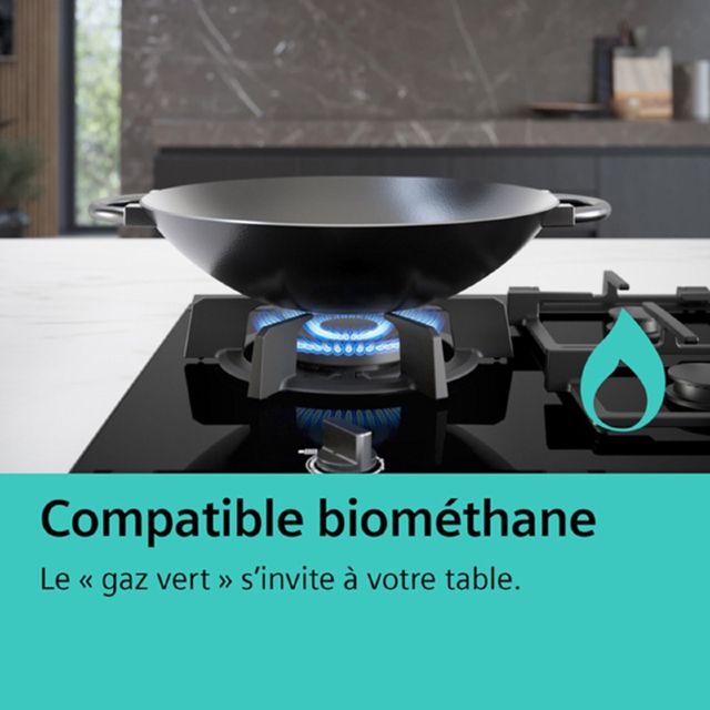SIEMENS plaque de cuisson Domino iQ700 ER3A6BI40