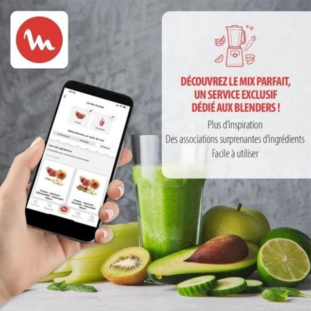 Moulinex mix move Mini blender lm15fd10