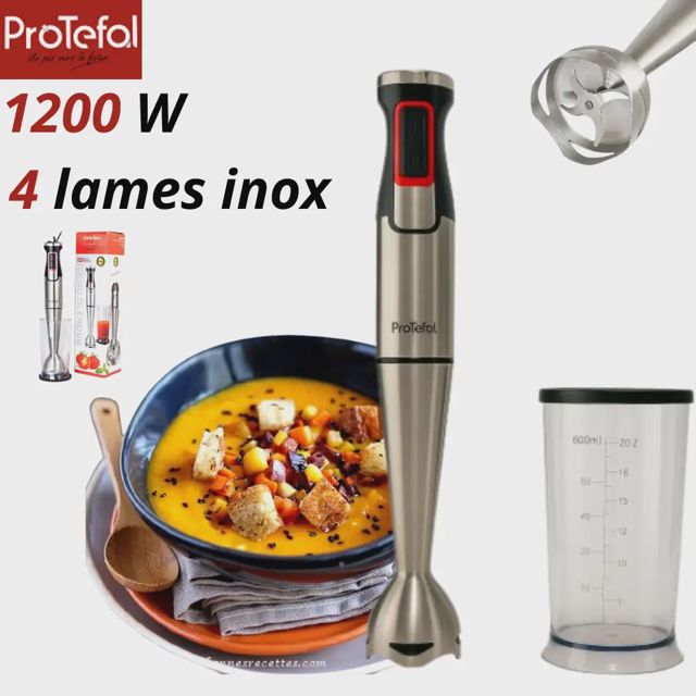 Protefal bras mixeur inox 1200w FY8020 Inox